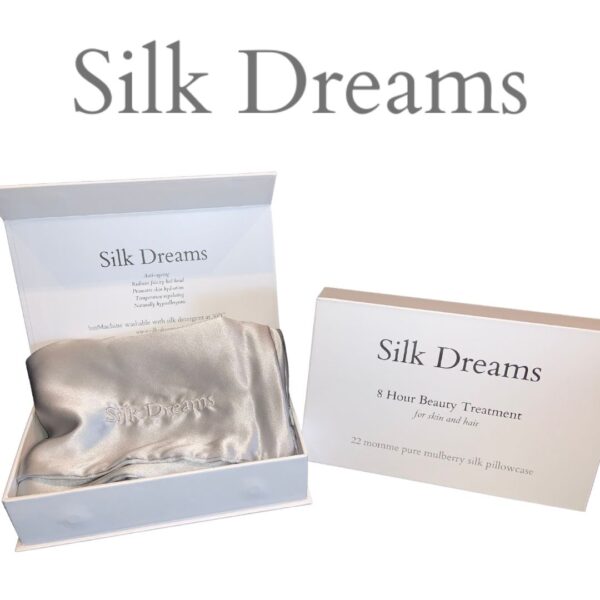 Silk Dreams Anti-Ageing Pure Silk Pillowcase Silver